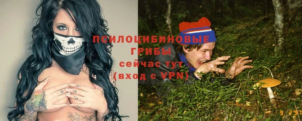 мдма Ладушкин