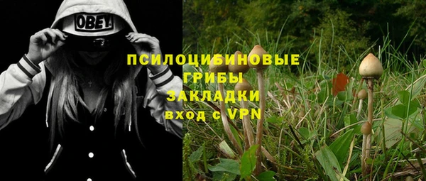 круглые Алзамай